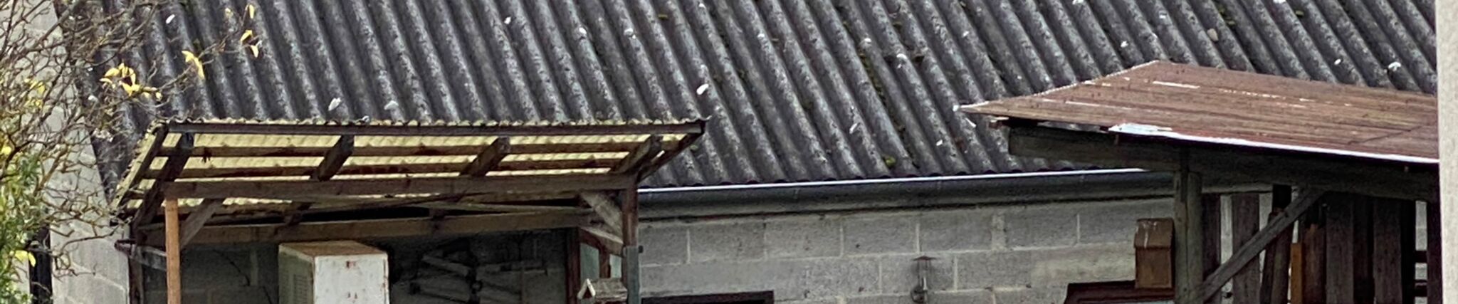 Das Foto für den Asbest Auffrischungskurs zeigt ein altes Gebäude mit Asbestplatten auf dem Dach.